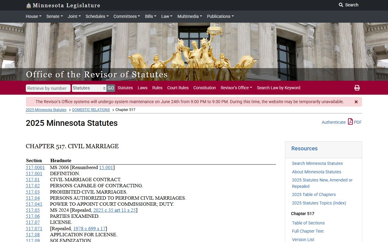Murray County marriage records Minnesota civil marriage chapter